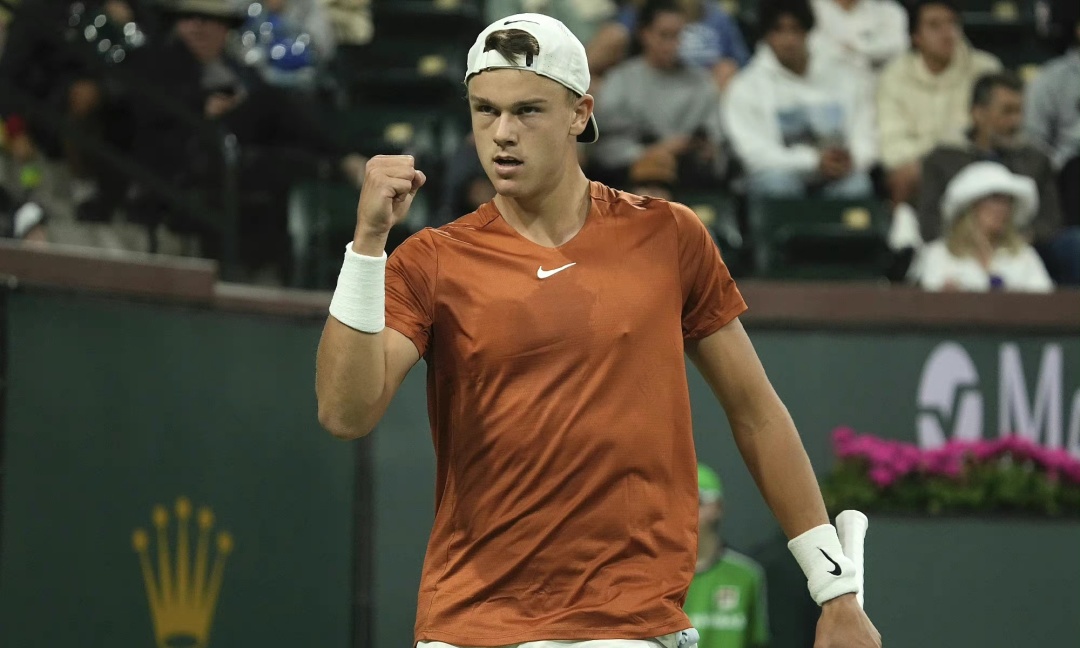 体育法专家 体育法专家